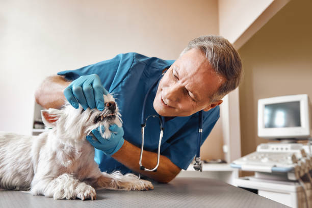  Asbury Lake, FL Emergency Dentist Pros